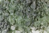 Green Prehnite Crystal Cluster - Morocco #80697-2